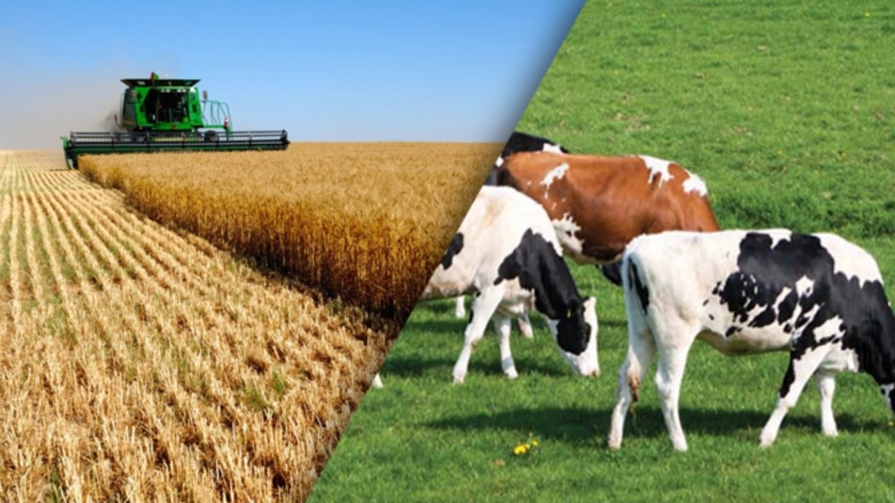 Tarım Ve Hayvancılık Destek Paketi Başvuru Ekranı açıldı