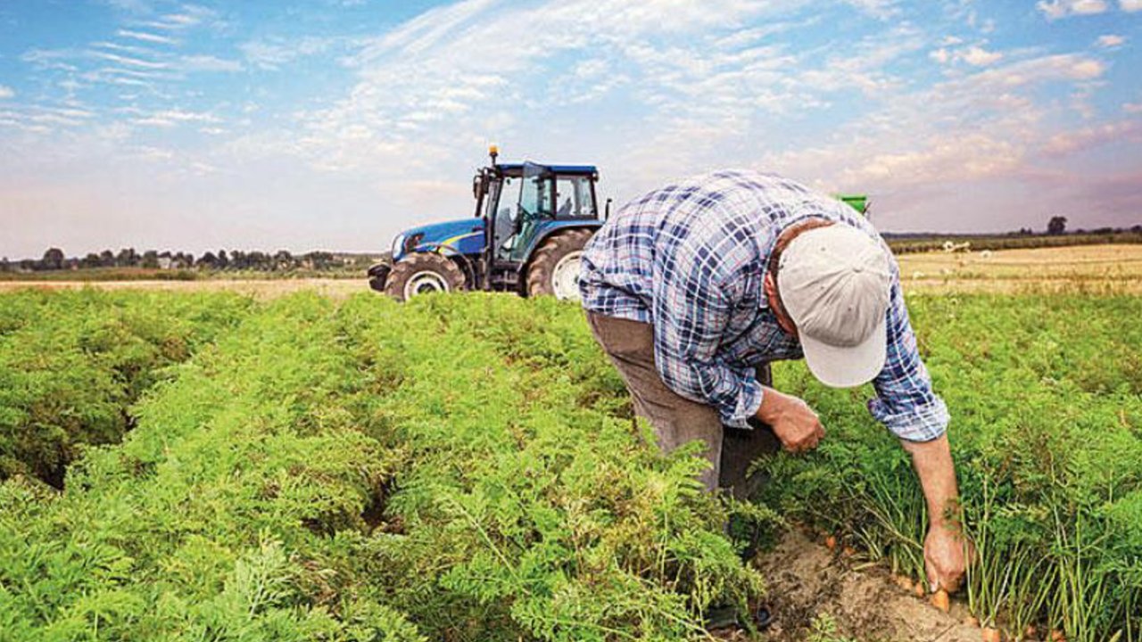 Ziraat Bankası Çiftçilere Destek! 3 Milyon TL Kredi Veriliyor