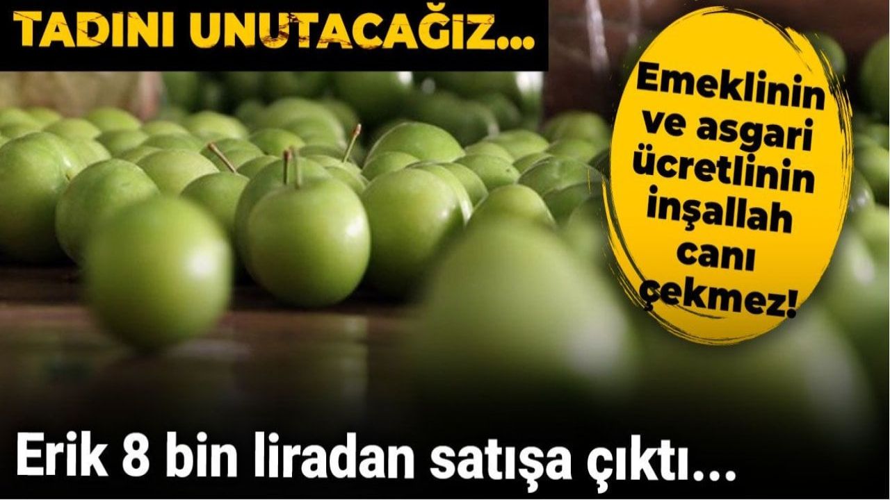 Erik fiyatları tavan yaptı: Kilosu 8 bin liraya ulaştı