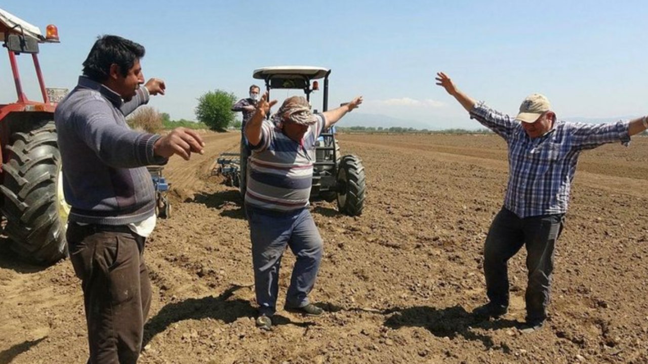 Tarım Bakanı Duyurdu! Çiftçilere müjde: 379 milyonluk destek!