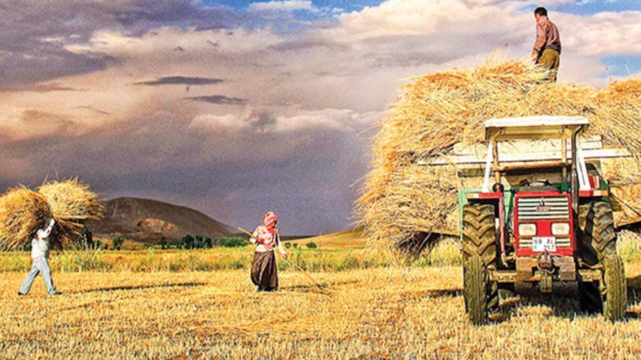 Bakan Açıkladı! Çiftçilere 3 Milyar 218 Milyon TL Destek Ödemesi!