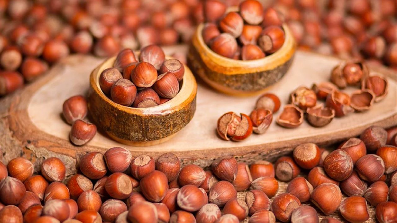 Fındık piyasasında büyük hareketlilik: İşlem gören fındık miktarı 479 bin tonu geçti