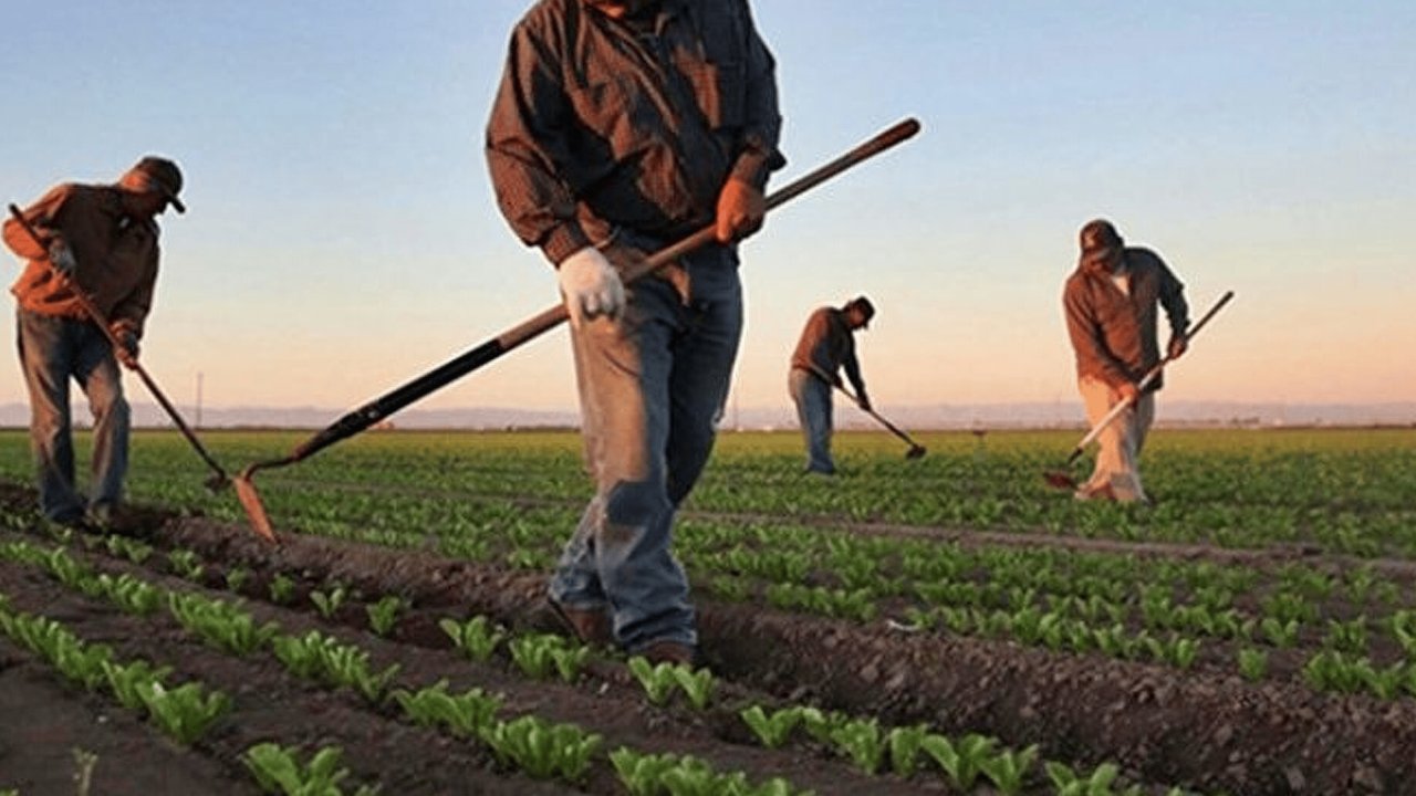 HESAPLARA YATIYOR! Mazot gübre desteği Çiftçilerin Hesaplarında