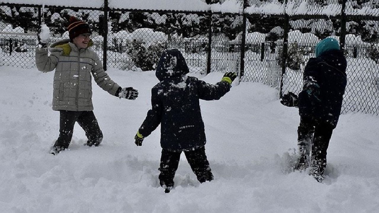 Ordu'da bazı ilçelerde eğitime ara verildi