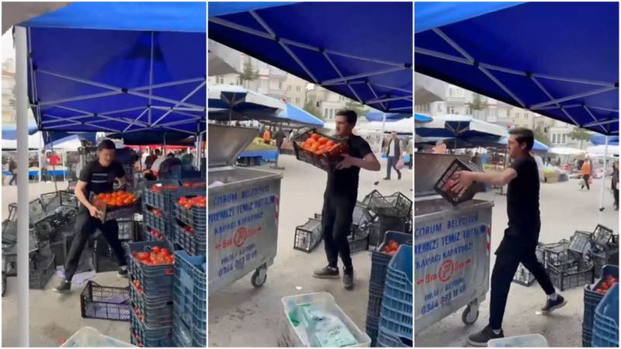 Çorum'da Çöpe Atılan Domatesler Nedeniyle Pazarcıya Milyonluk Ceza