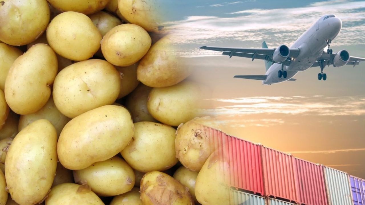 Mart ayında patates fiyatları yükselirken uçak biletleri ucuzladı