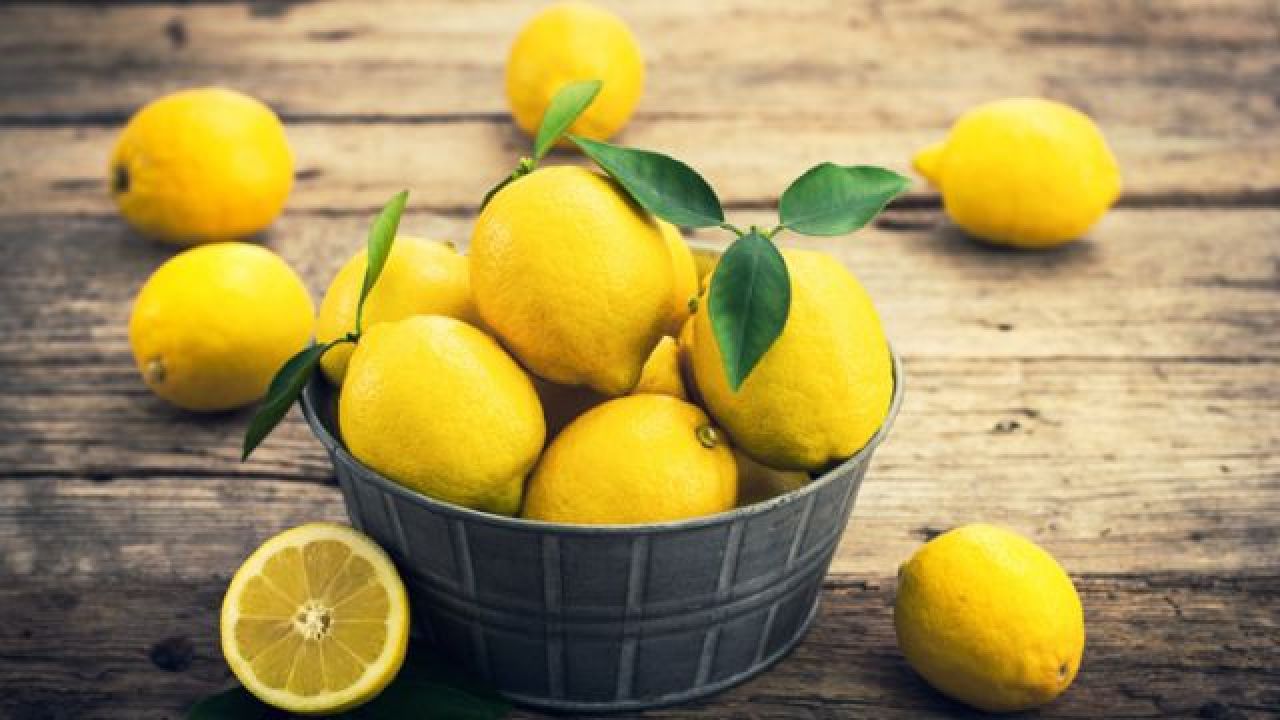 Limon ihracatına geçici durdurma