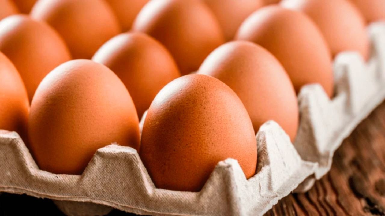 Yumurta fiyatlarındaki artış sürüyor: Üretim azalırken, ihracat ve maliyetler yükselişte