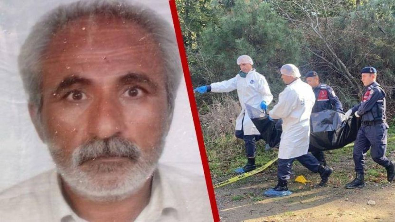 Vezir Mohammad Nourtani'nin öldürülmesi davasında hafif cezalar: Sanıklar üç ay sonra serbest bırakılabilir