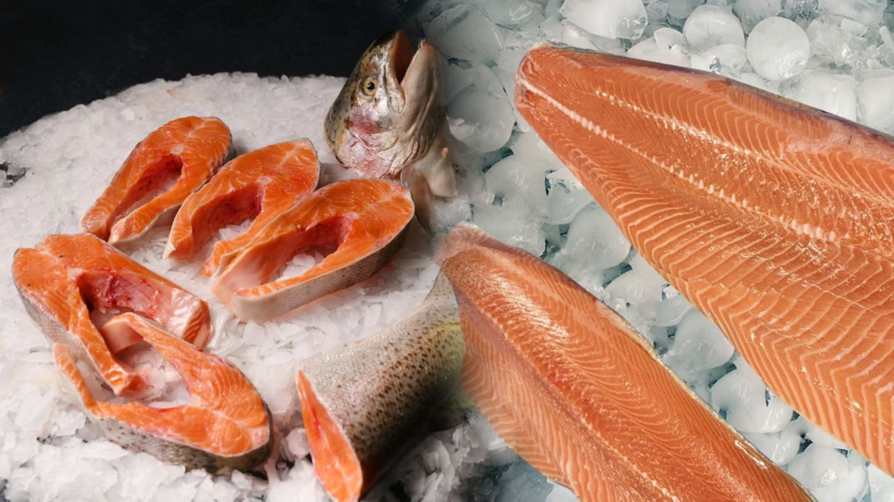 Türk Somonunun İhracatı Yılın İlk Çeyreğinde 84,4 Milyon Doları Geçti