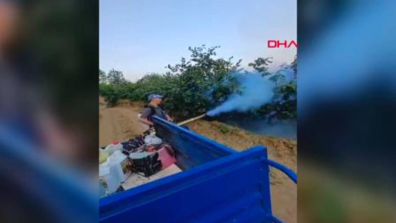 Düzce'de fındık bahçelerini koruma altına alan don ve buzlanmaya karşı mücadele başladı