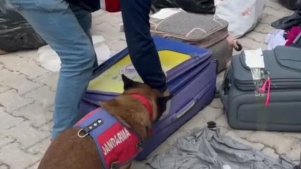 Hatay'da 450 kurusıkı tabanca ele geçirildi