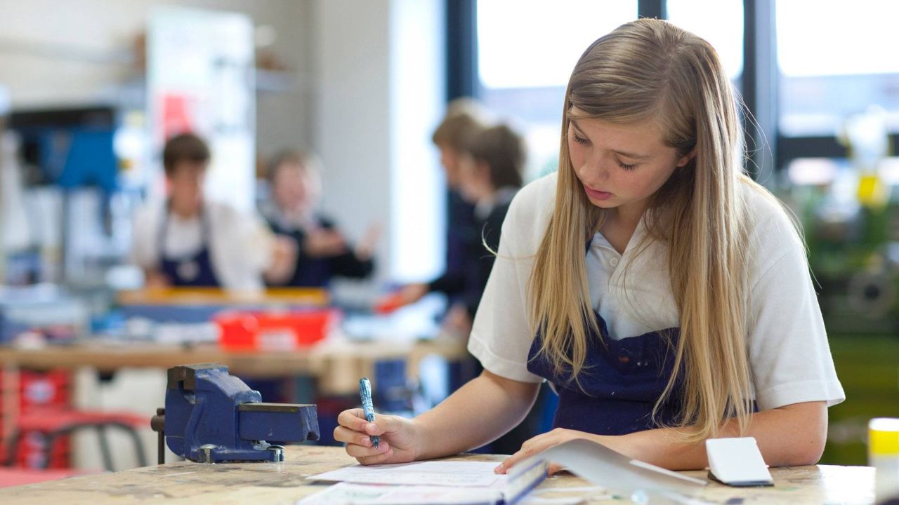 Alman Dual Sistemi, Mesleki Eğitime Geliyor