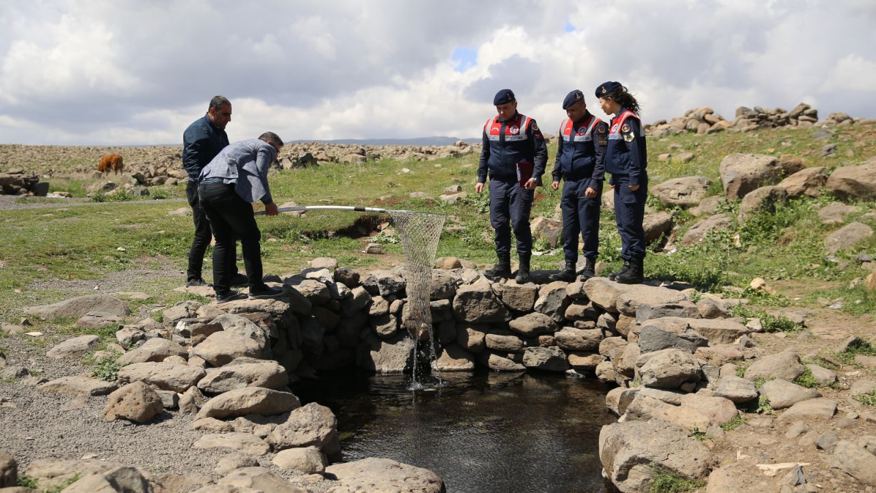 Volkanik Dağın Eteklerindeki Doğal Akvaryum Araştırılıyor