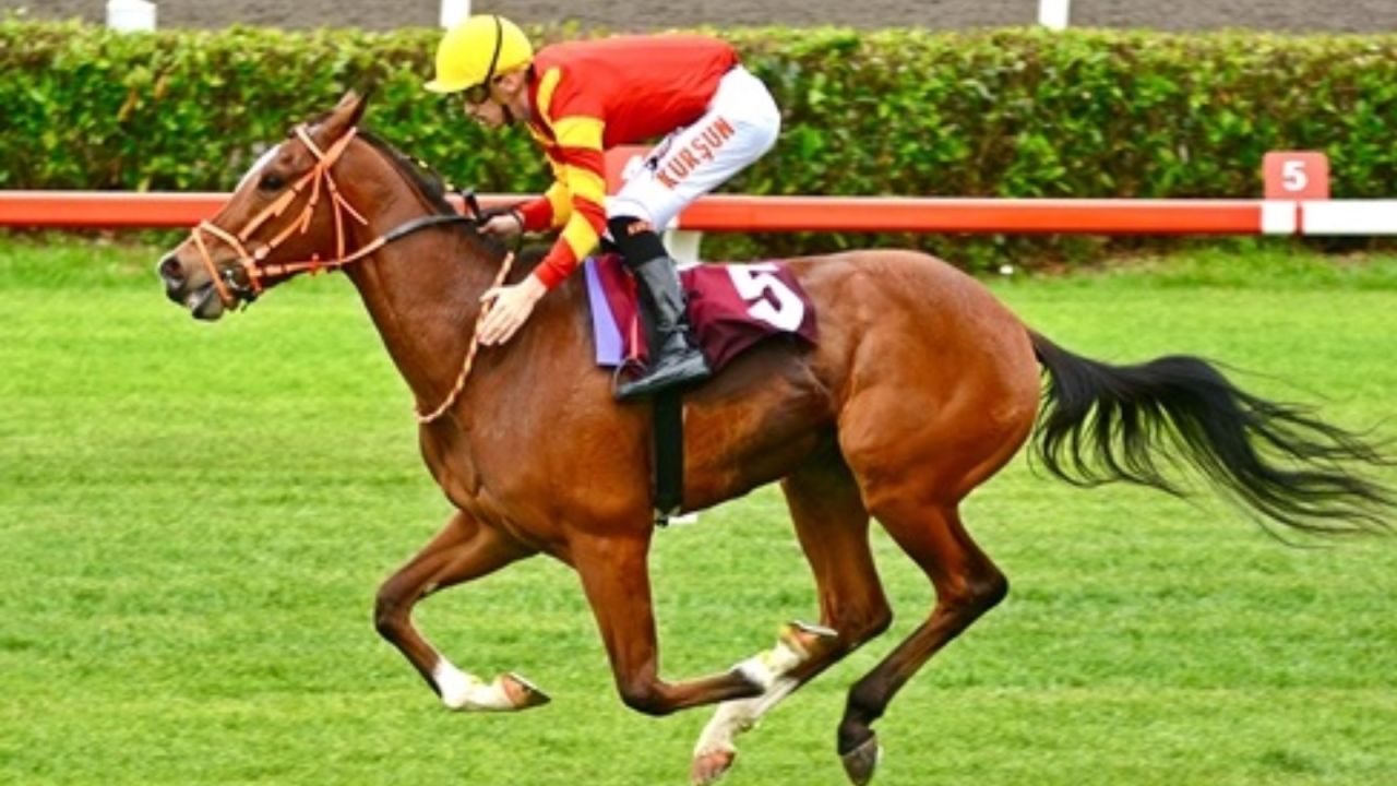 Veliefendi Hipodromu'nda yarış heyecanı başlıyor