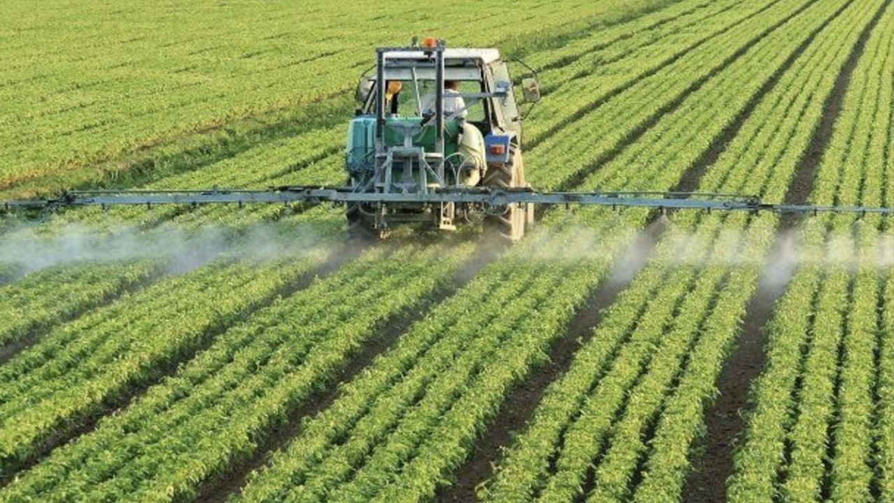 Çiftçilere 6 milyar liralık destek ödemesi bugün yapılıyor