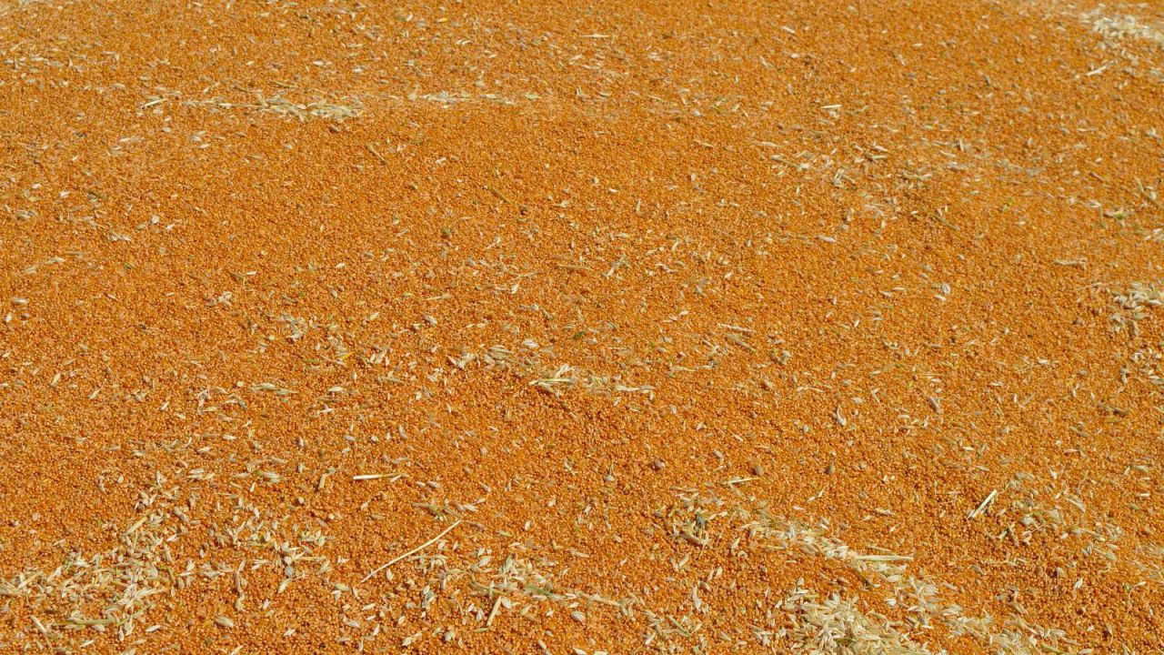 Mardin'de 137 Bin Tonluk Buğday Vurgununa 9 Tutuklama