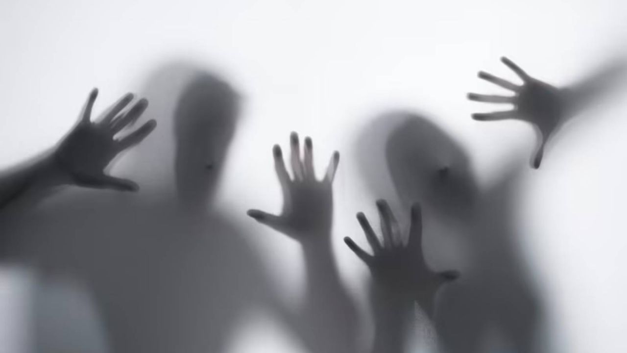 Nevşin Mengü: Asıl Amaç Korku İklimi Yaratmak İse, Başarıldı