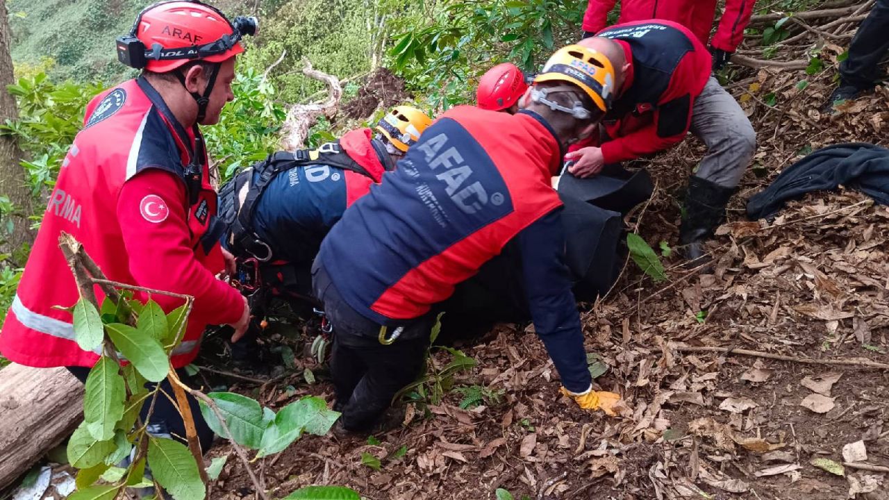 Rize'de ağaç altında kalan muhtar hayatını kaybetti