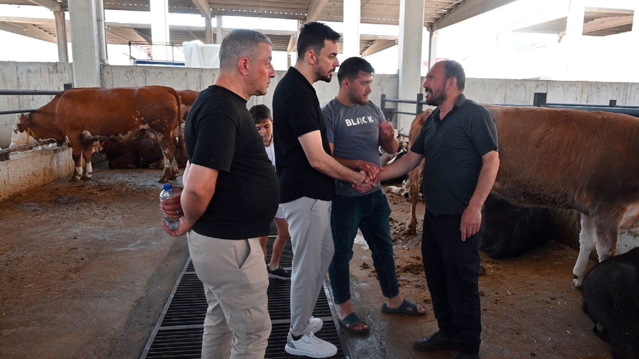 2025 Yılı Vekaletle Kurban Kesim Bedeli Belli Oldu