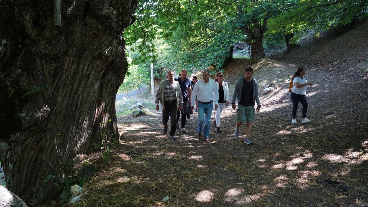 Efeler yolu Avrupa Konseyi kültür rotaları ağına dahil edildi
