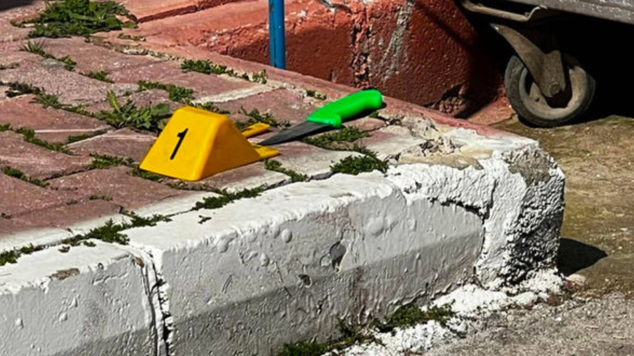 "Alaycı gülüş öldürme komutu oldu: Akli dengesi yerinde"
