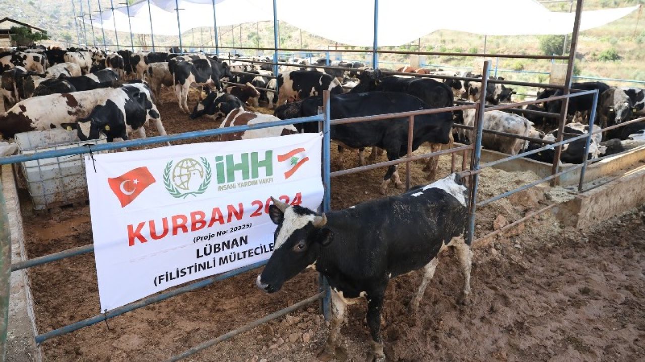 İhh Kurban Hisse Bedelini Açıkladı
