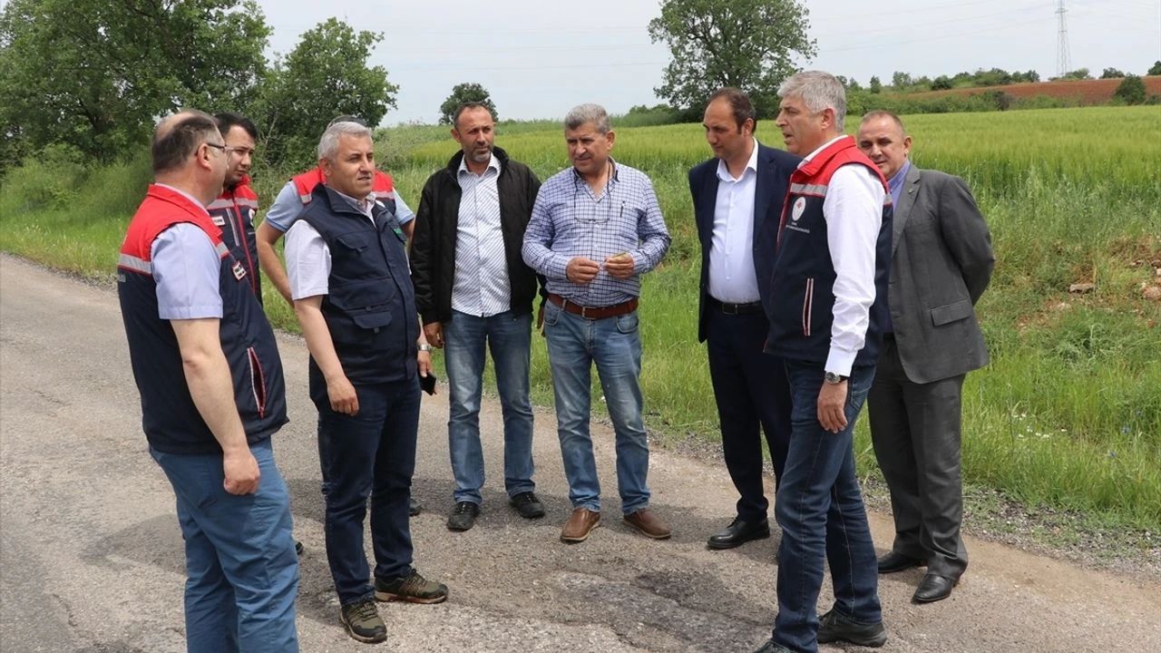 Edirne'de Dolu Zararı: Tarlalarda Hasar Tespiti Yapıldı
