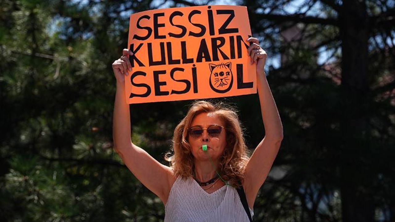 Türkiye Gazetesi Yazarı: Katliam Yasasının İptali Kararına Katkım Varsa Mutluyum
