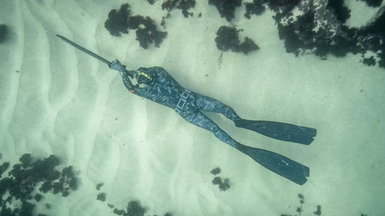 Zıpkınla Balık Avı Türkiye Şampiyonası Didim'de
