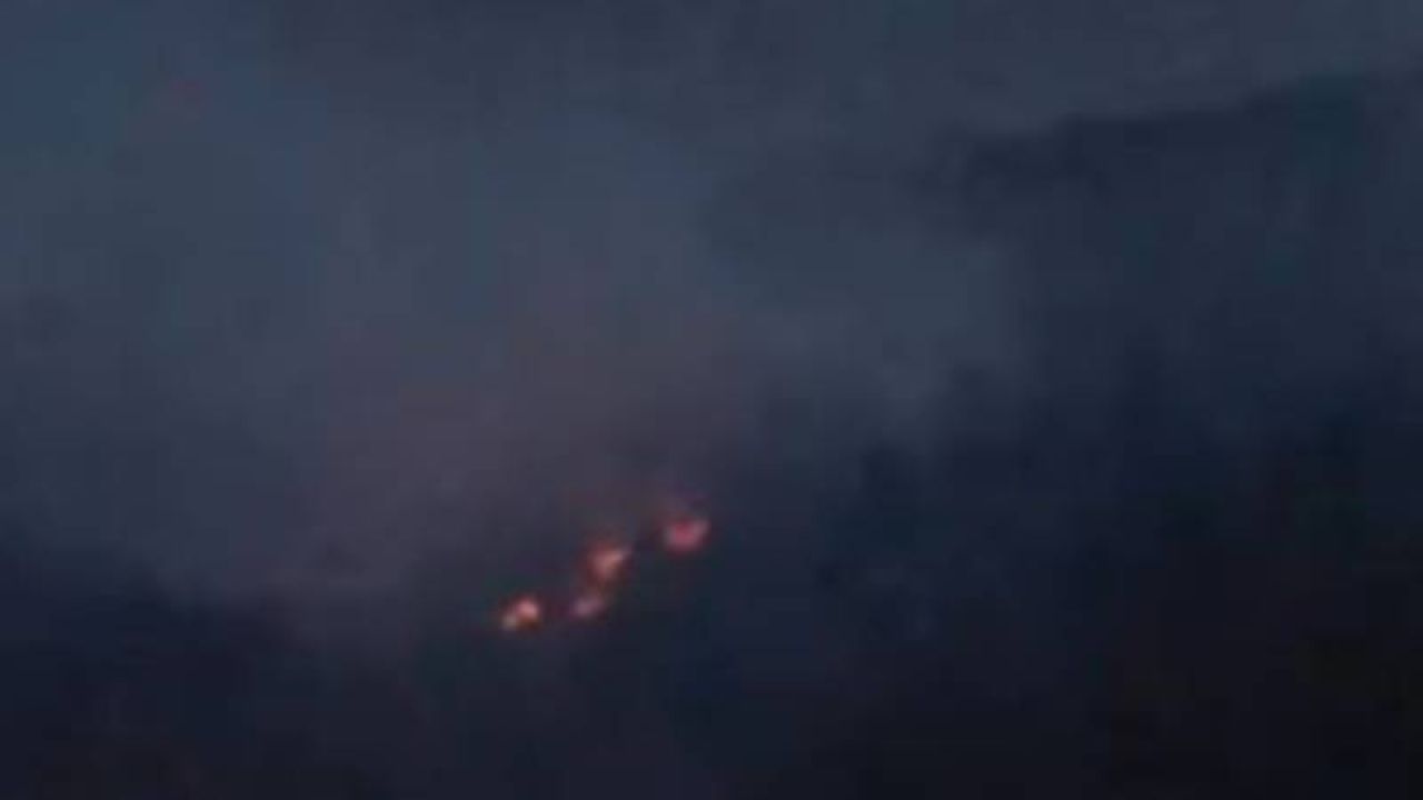 Adana'daki Orman Yangınları Kontrol Altına Alındı
