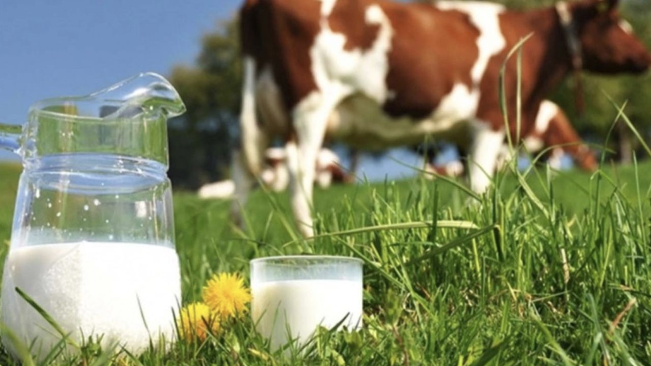 Süt Üretiminde Rekor Beklenti: Hedef 23 Milyon Ton
