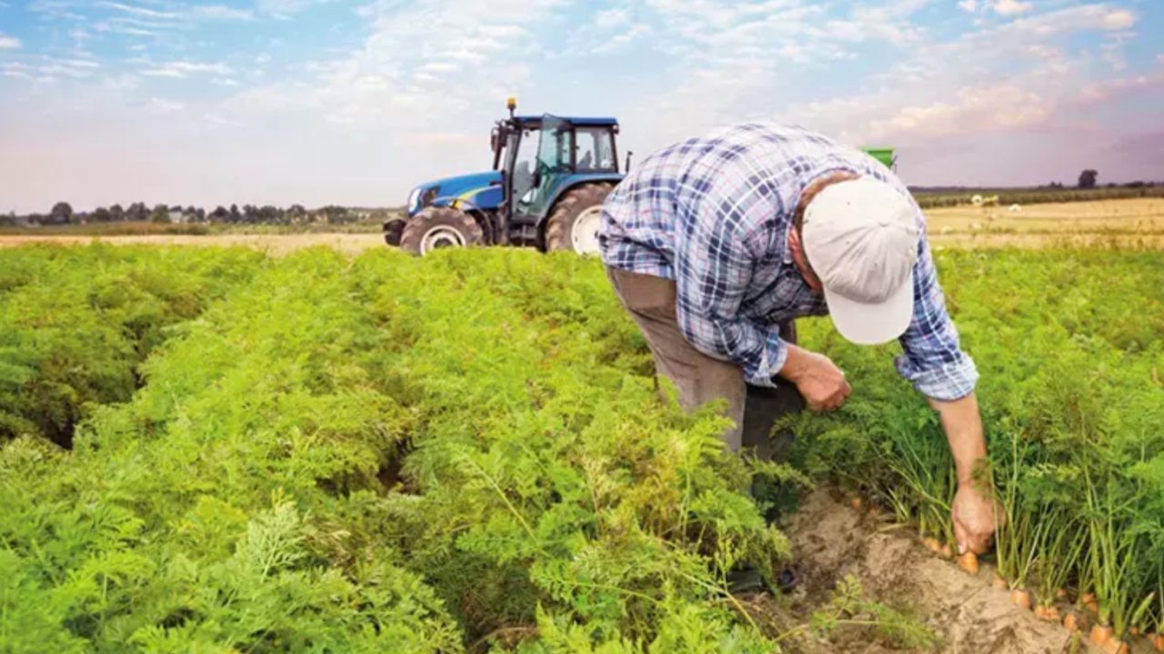 Çiftçilere 77 milyon TL'lik bayram öncesi yeni destek!