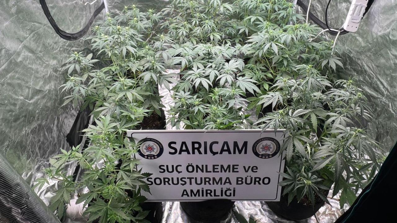 Adana'da Kenevir Operasyonu: Bir Tutuklama
