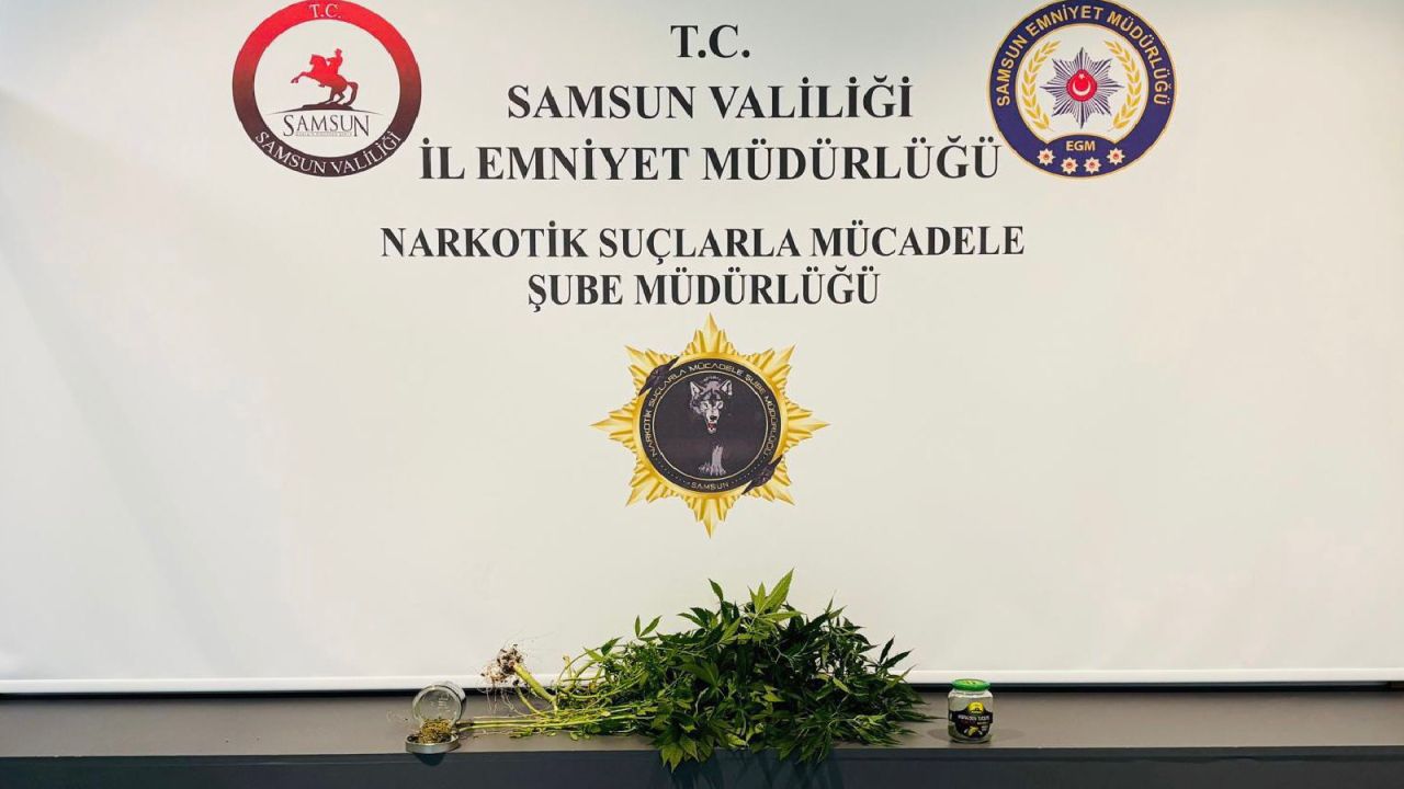 Samsun'da Ev Serasında Kenevir Yetiştirenlere Gözaltı
