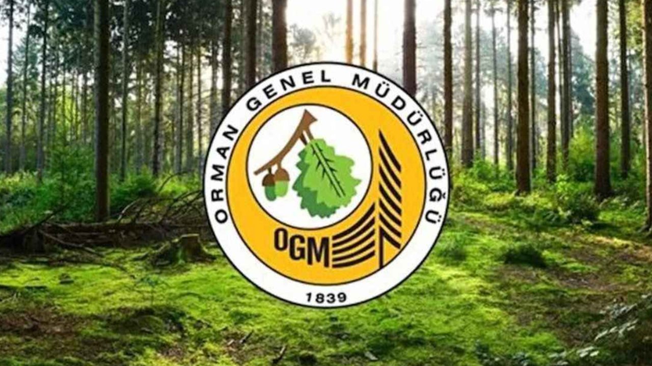 OGM 3.477 Personel Alımı Sonuçları Ne Zaman Açıklanacak? İşte Sorgulama Ekranı ve Tüm Detaylar