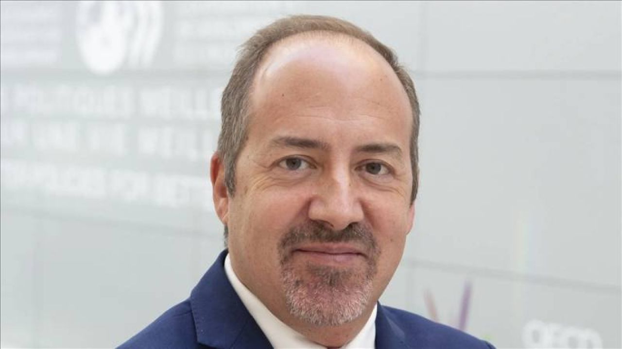 Oecd Başekonomisti'nden Türkiye Değerlendirmesi: Kararlılık Sürdürülmeli