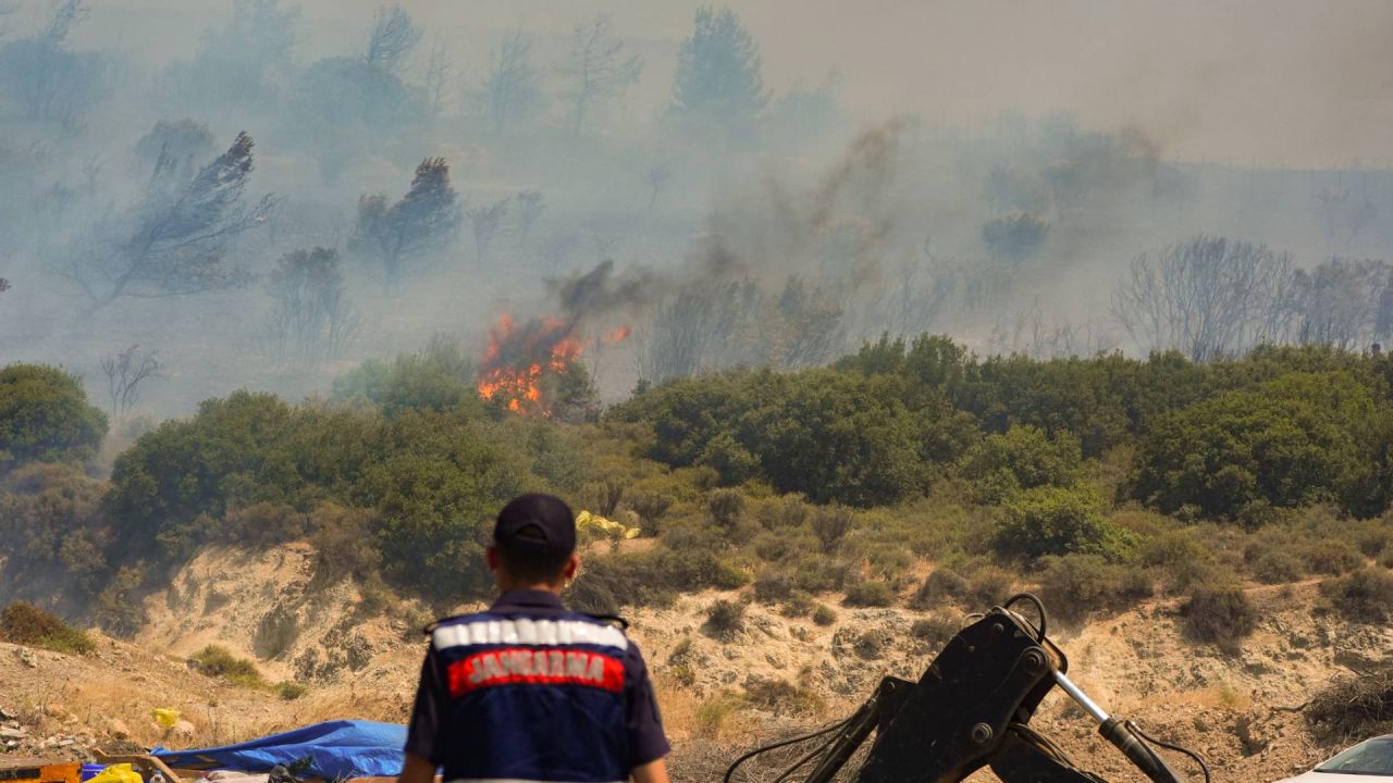 İzmir'de Orman Yangını
