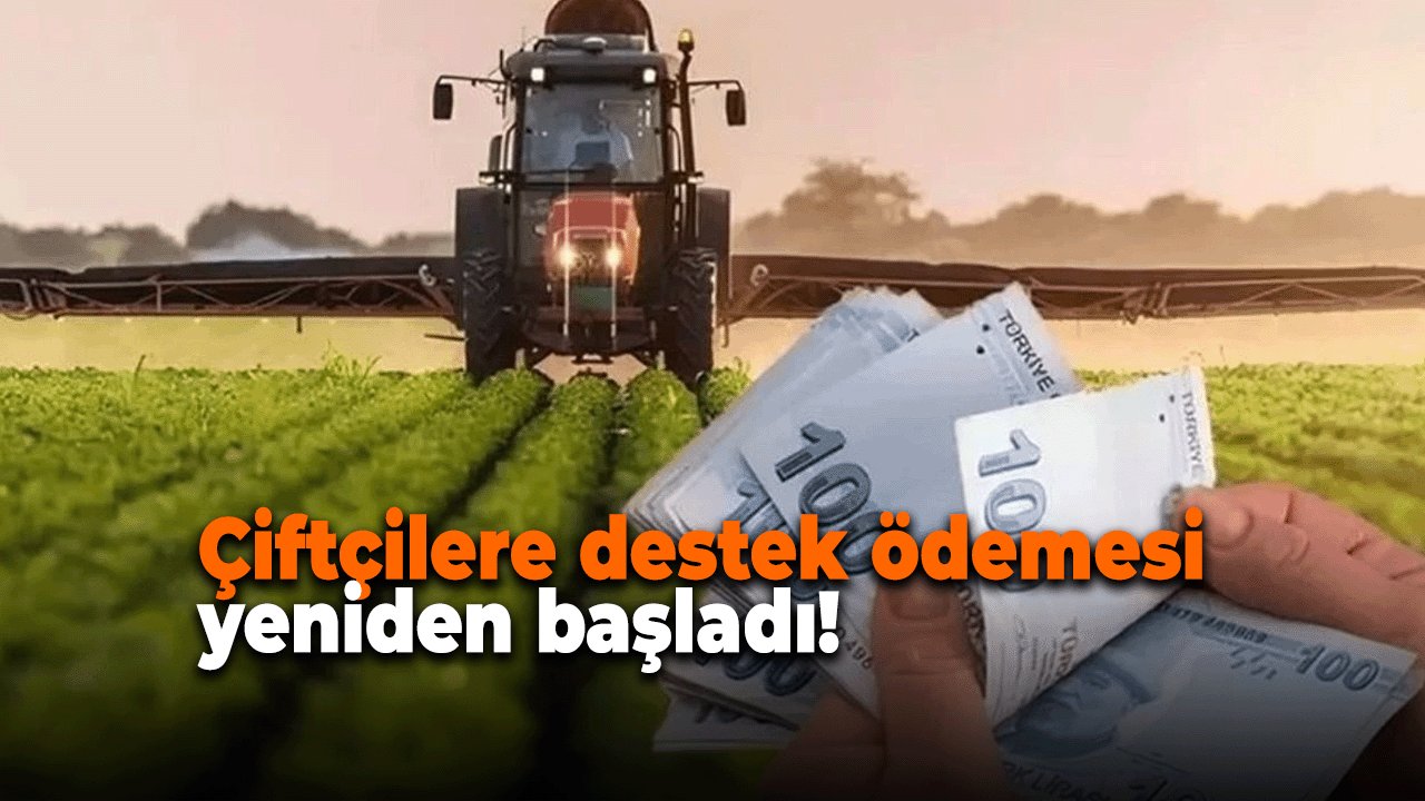 Çiftçilere destek ödemesi yeniden başladı! Hesapları kontrol edin