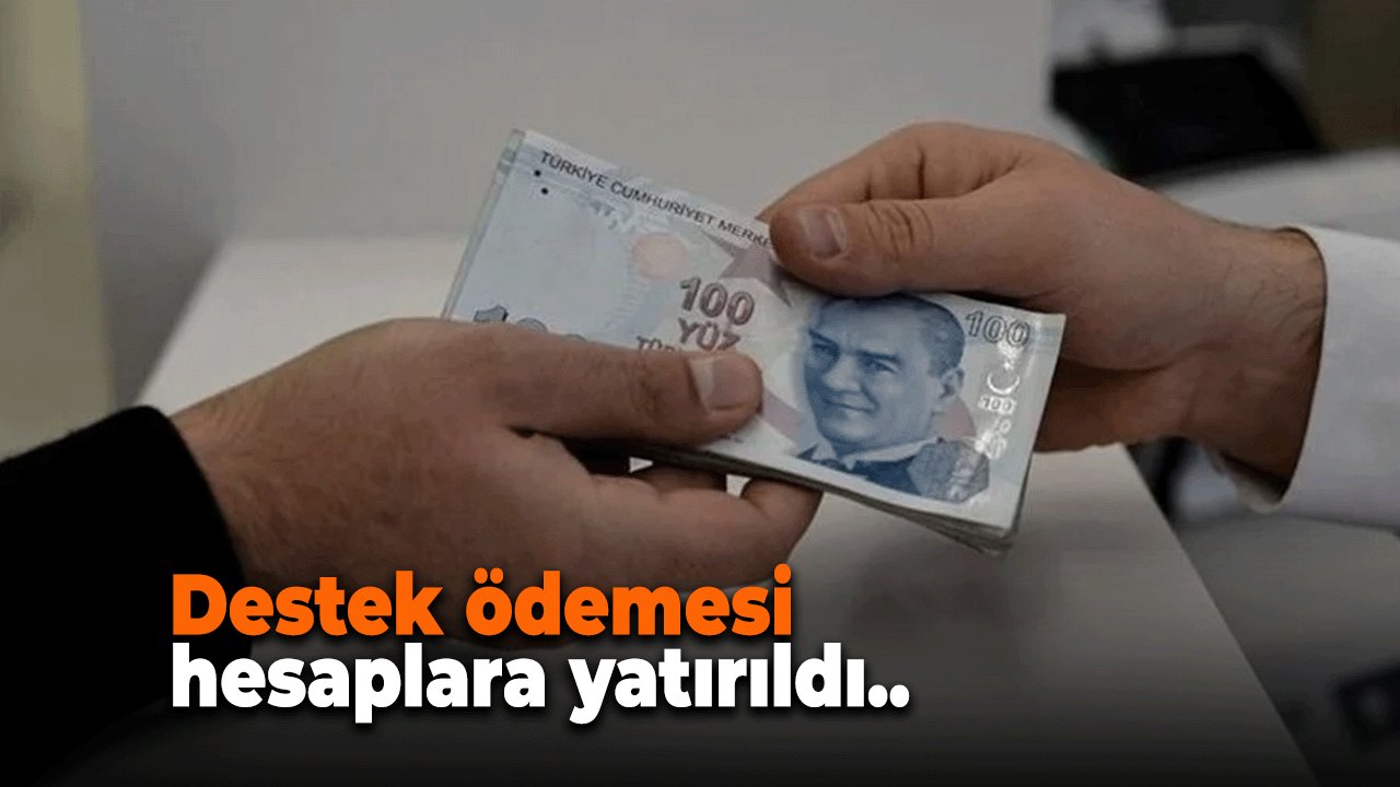 Aile Bakanı Duyurdu! Haziran Ayı destek Ödemeleri Hesaplara Yatırıldı