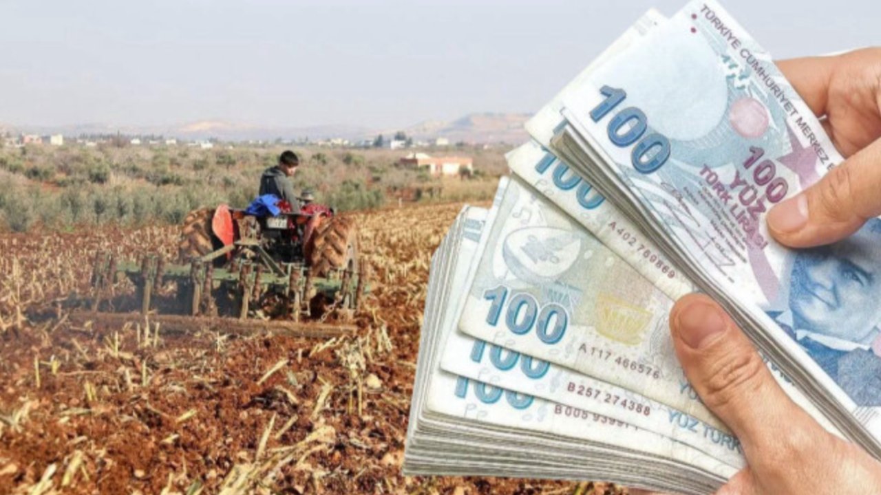 Çiftçilere büyük destek geldi! Başvuru yapmayı kaçırmayın