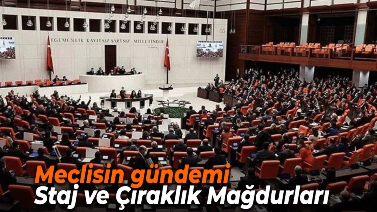 Staj ve Çıraklık Mağdurları İçin TBMM’de Tarihi Çağrı