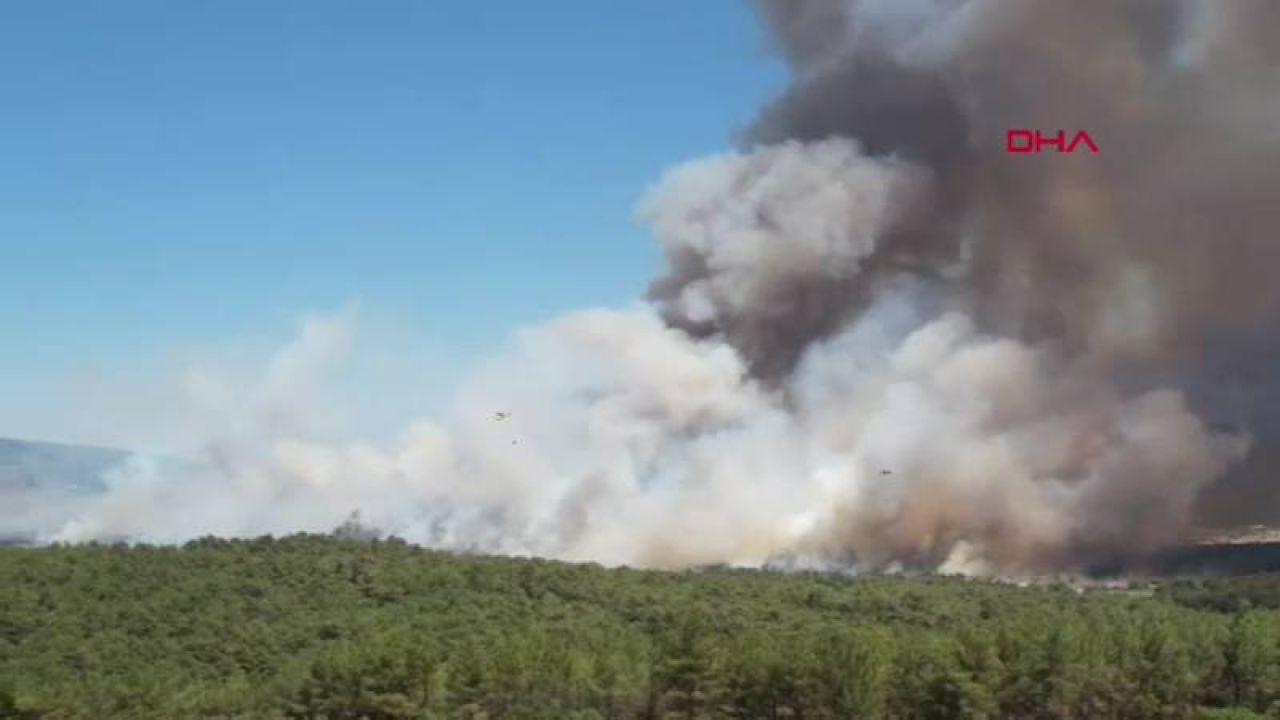 İzmir'de Tarım Yangını Ormana Sıçradı, Müdahale Sürüyor
