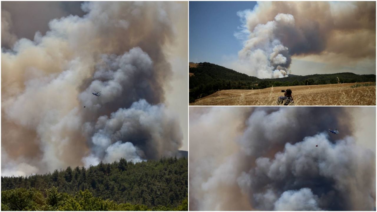 Sakarya'da Orman Yangını: 2 Mahallede Tahliye Kararı
