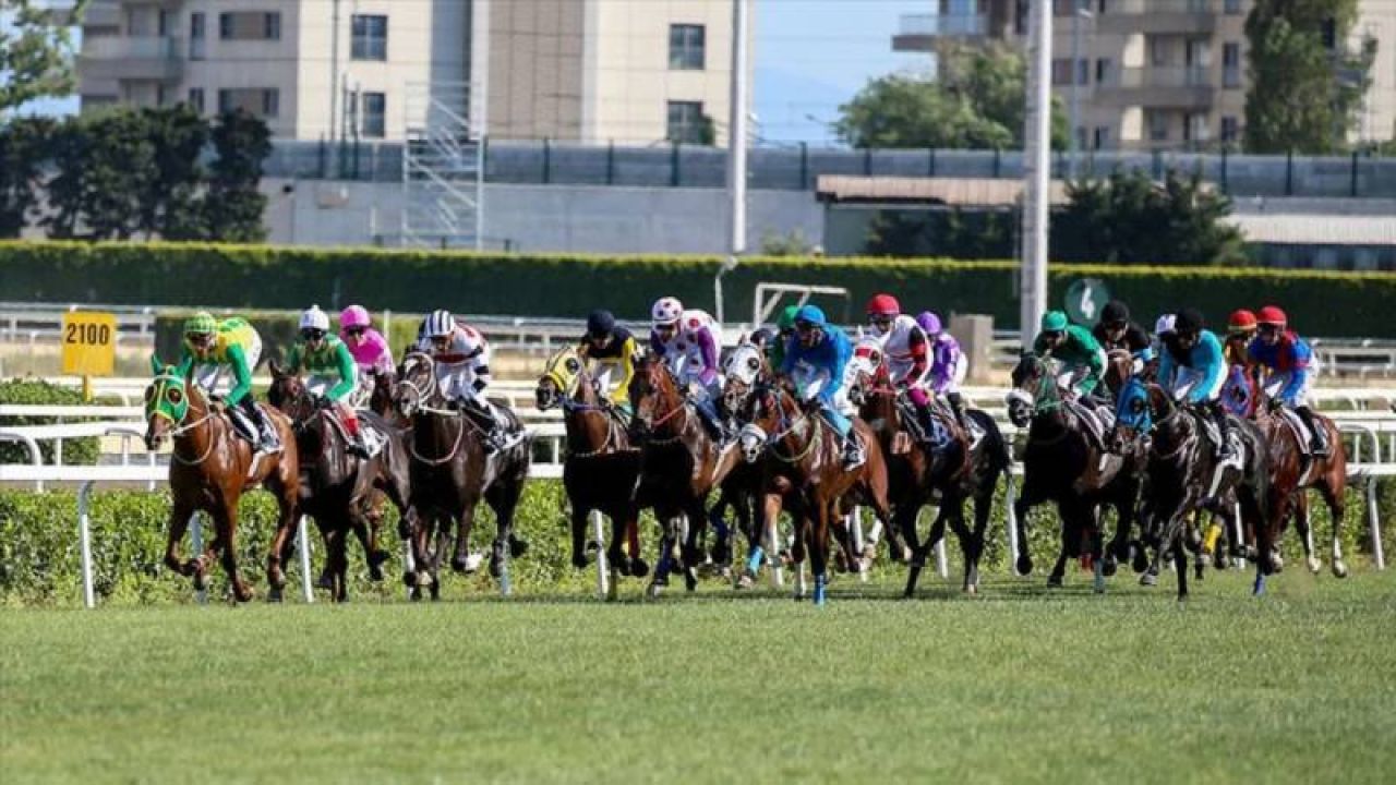 Gazi Koşusu'nu Ahmet Çelik Ve Cutha Kazandı
