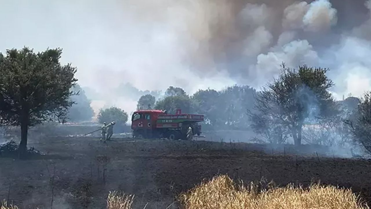 Çanakkale'de Orman Yangınları: 26 Kişiye Adli İşlem
