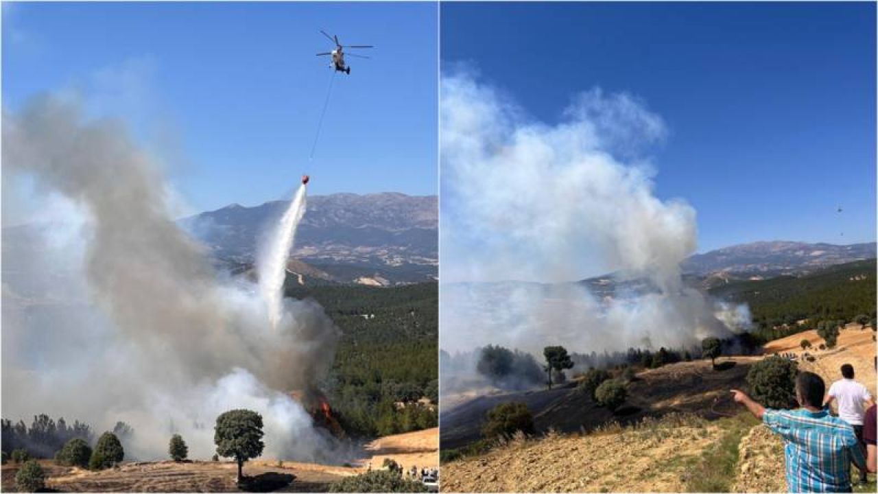 Kütahya'da Orman Yangını Ekipler Seferber

