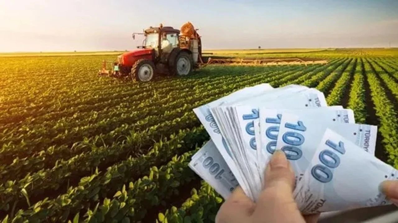 Çiftçilere 42 Milyon Euro'luk destek ödemesi açıklaması geldi