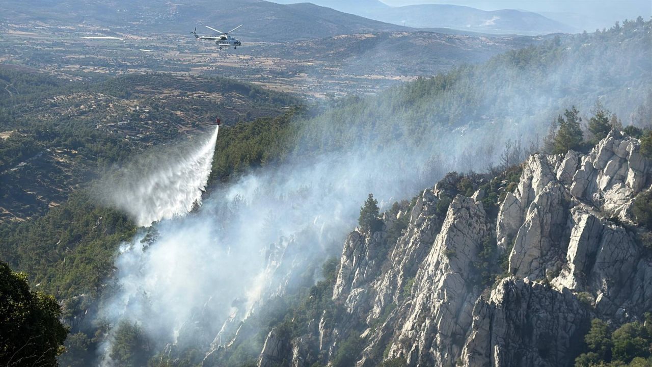 Milas'ta İkinci Orman Yangını
