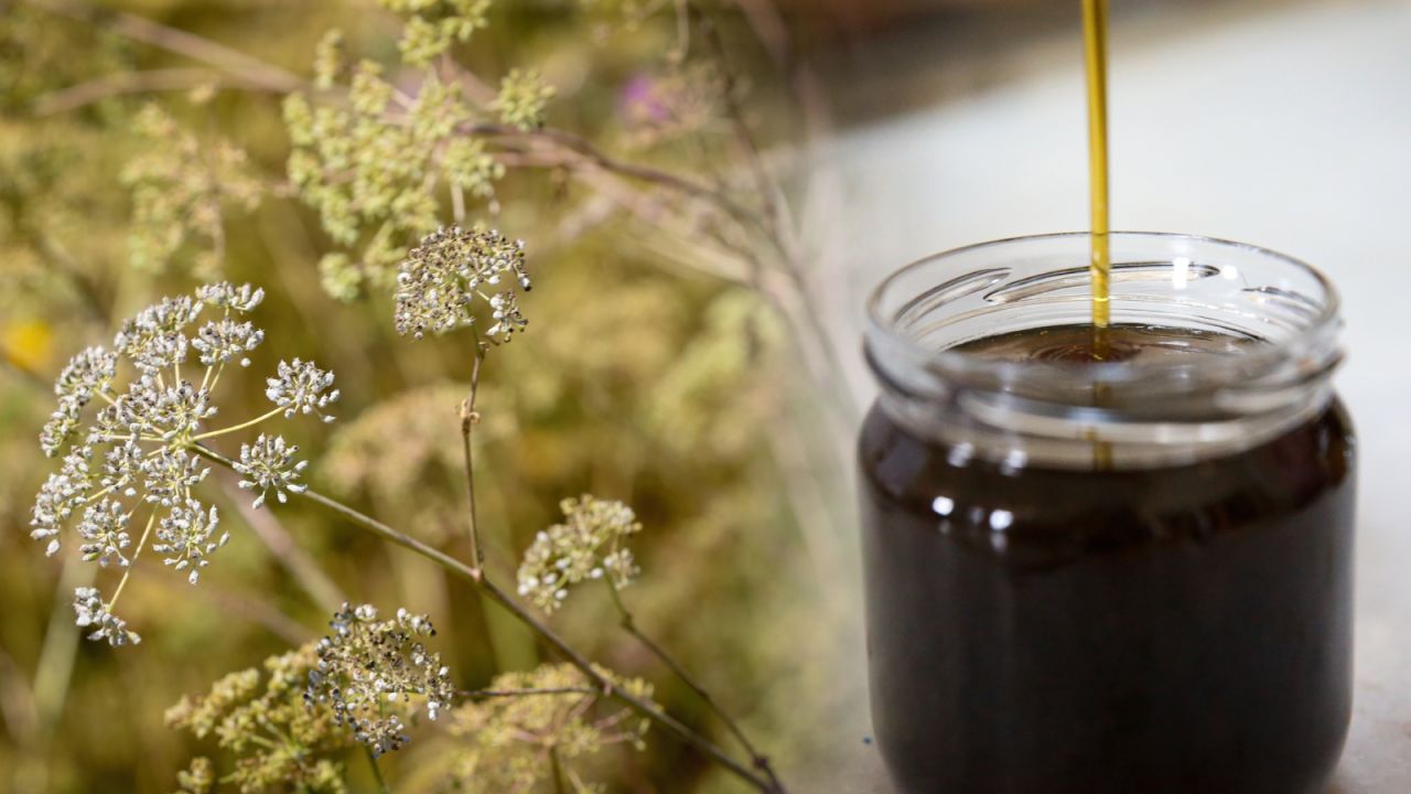 Hatay'da Maydanoz Balı Coğrafi İşaretle Tanınacak
